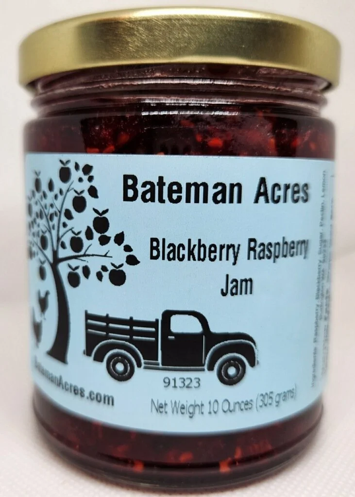 ギター Raspberry Effects Blackberry JAM ギター Raspberry Effects Blackberry JAM Blackberry JAM